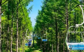 长春市内有哪些必游景点？