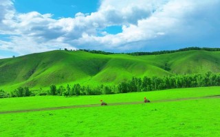 自驾游 呼伦贝尔大草原