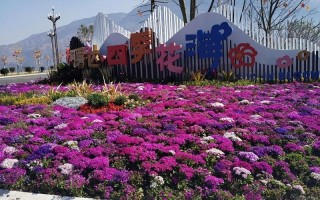 攀枝花附近有哪些旅游景点