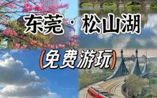 东莞到深圳旅游景点大全