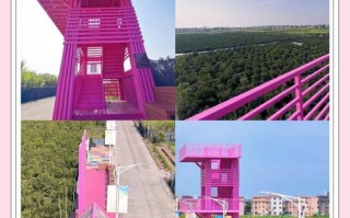 新沙岛旅游度假区游玩攻略