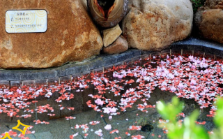 威海汤泊温泉自驾游两日怎么安排？