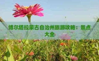 博尔塔拉蒙古自治州旅游有哪些必打卡景点？