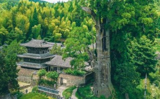 浙江丽水有哪些必打卡的好玩景点？