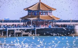 青岛周边城市有哪些值得一游的景点？