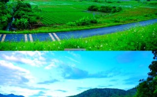 惠阳淡水必去景点有哪些？