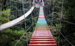 龙岩有哪些必打卡旅游景点？