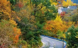 宁波四明山必游景点有哪些？