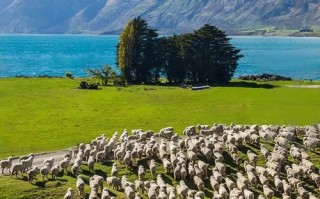 新西兰旅游景点排名有哪些必打卡？