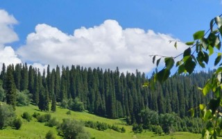 伊犁旅游景点有哪些？