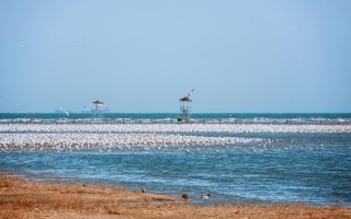 河北北戴河有哪些必游景点？