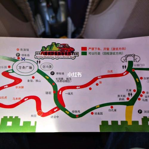 八达岭野生动物园自驾游,怎么玩才最尽兴?-第1张图片-星月文旅 八达岭野生动物园自驾游,怎么玩才最尽兴?-第1张图片-星月文旅