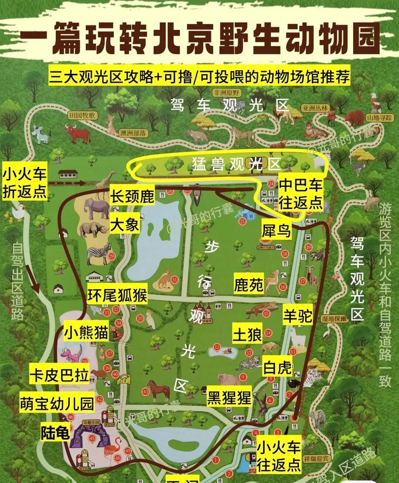 北京野生动物园自驾游门票多少钱?-第2张图片-星月文旅 北京野生动物园自驾游门票多少钱?-第2张图片-星月文旅