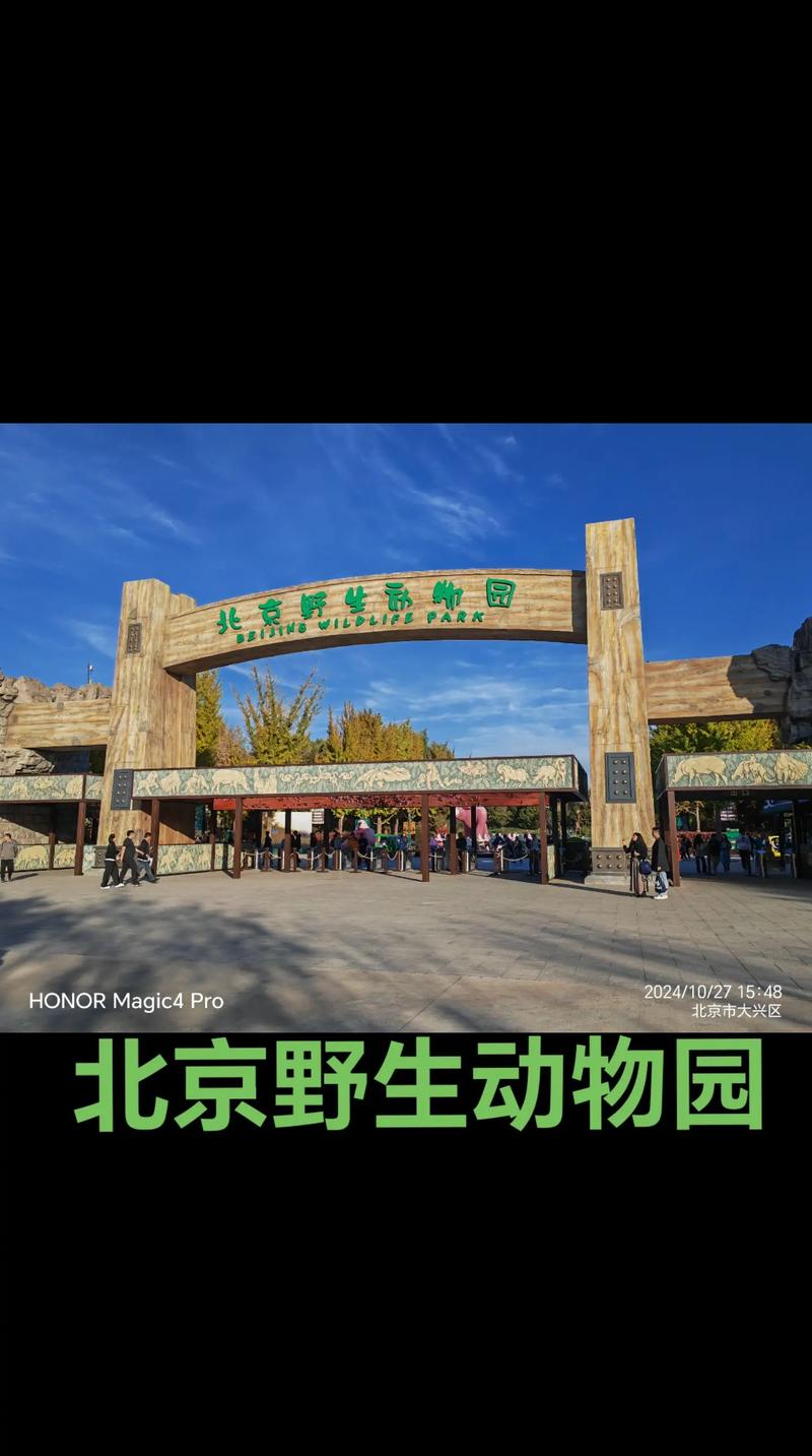 北京野生动物园自驾游门票多少钱？-第3张图片-星月文旅