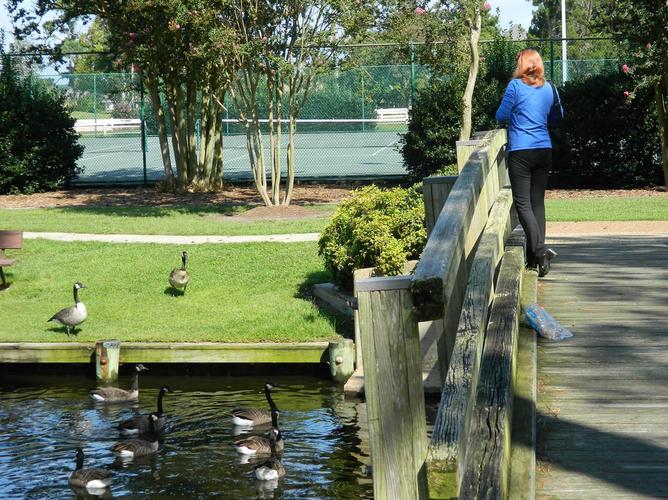 Portsmouth旅游必去哪？怎么玩最尽兴？-第3张图片-星月文旅