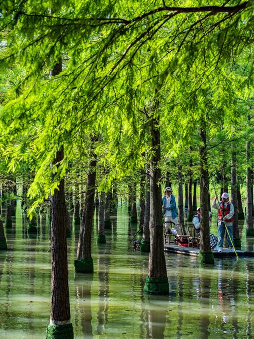 宿迁周边自驾游,哪些景点值得一去?-第1张图片-星月文旅 宿迁周边自驾游,哪些景点值得一去?-第1张图片-星月文旅