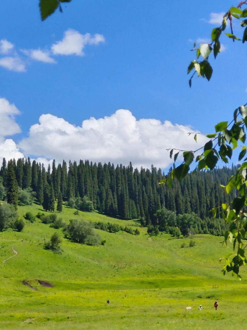 伊犁旅游景点有哪些?-第1张图片-星月文旅 伊犁旅游景点有哪些?-第1张图片-星月文旅