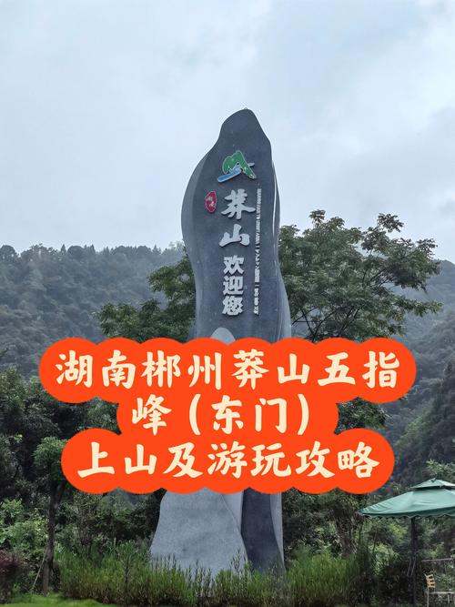 莽山国家森林公园怎么玩最尽兴?-第2张图片-星月文旅 莽山国家森林公园怎么玩最尽兴?-第2张图片-星月文旅