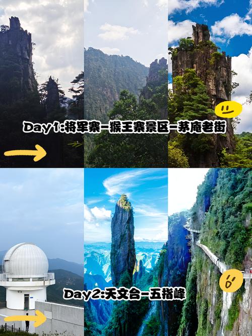 莽山国家森林公园怎么玩最尽兴?-第3张图片-星月文旅 莽山国家森林公园怎么玩最尽兴?-第3张图片-星月文旅