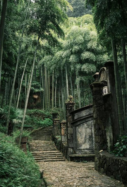 浙江自驾游前十名,哪几个最值得去?-第2张图片-星月文旅 浙江自驾游前十名,哪几个最值得去?-第2张图片-星月文旅