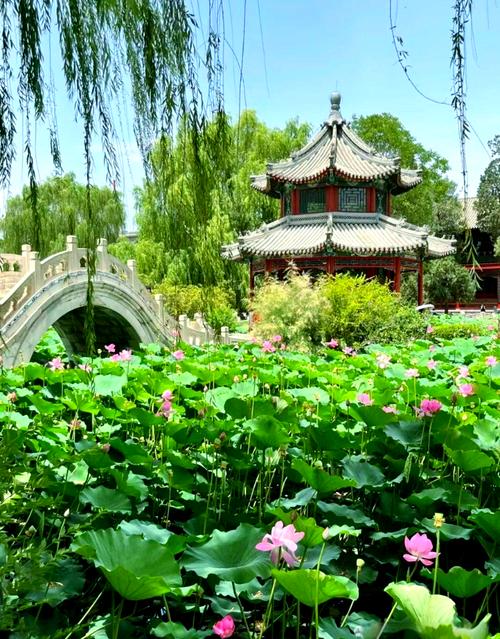 保定有哪些必打卡的旅游景点？-第2张图片-星月文旅