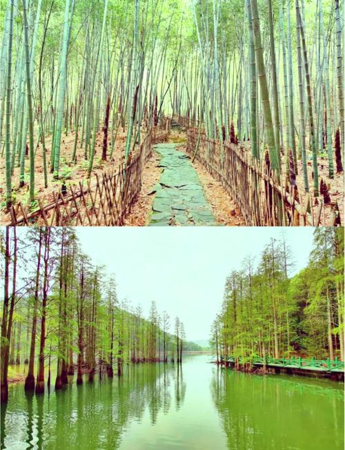 湖北自驾游，哪些景点最值得去？-第3张图片-星月文旅