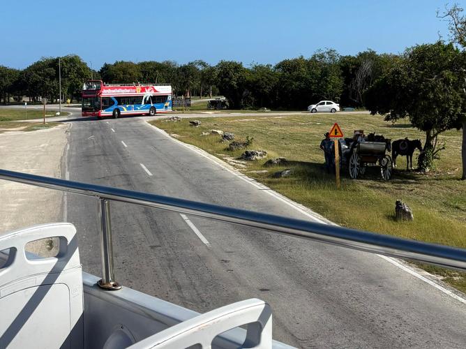 Cayo Coco怎么玩?必去景点+美食攻略?-第1张图片-星月文旅 Cayo Coco怎么玩?必去景点+美食攻略?-第1张图片-星月文旅