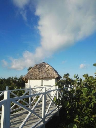 Cayo Coco怎么玩？必去景点+美食攻略？-第3张图片-星月文旅