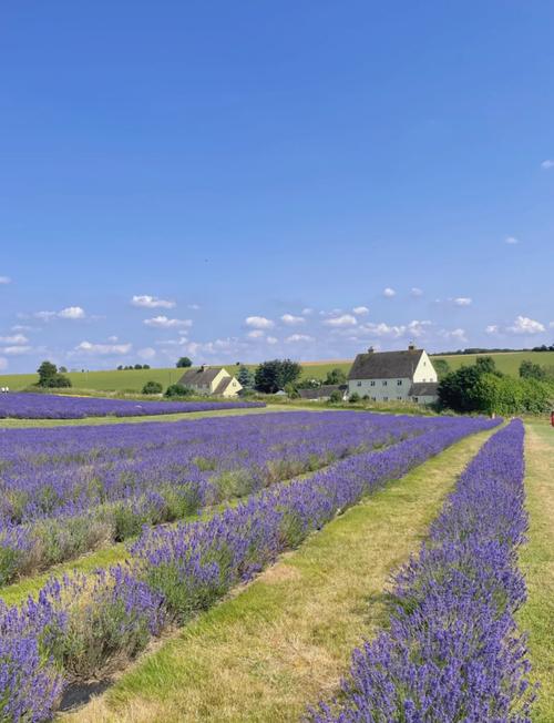 Cotswolds旅游攻略-第3张图片-星月文旅 Cotswolds旅游攻略-第3张图片-星月文旅