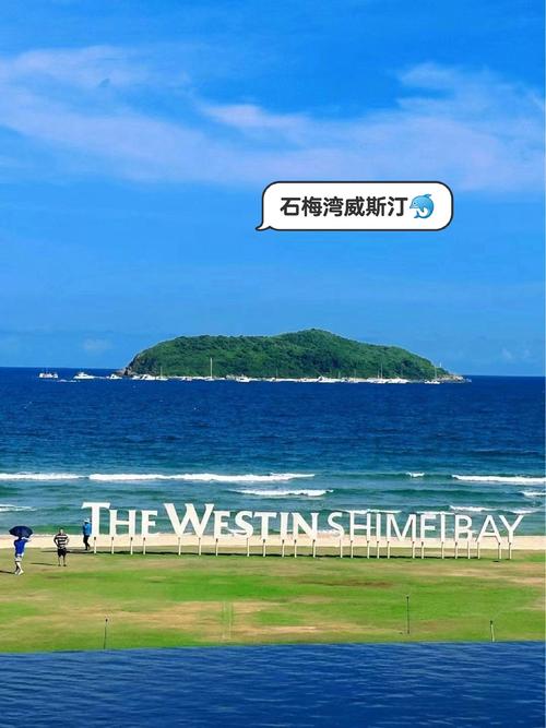 mosselbay旅游攻略-第1张图片-星月文旅 mosselbay旅游攻略-第1张图片-星月文旅