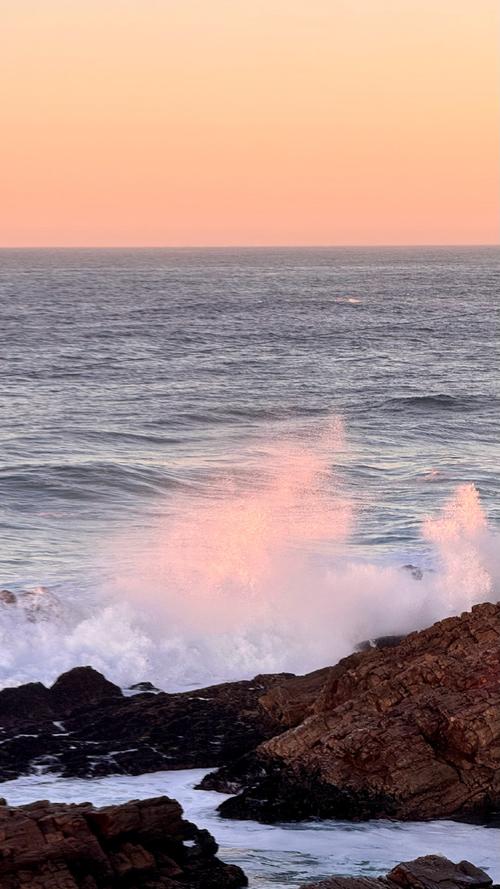 mosselbay旅游攻略-第3张图片-星月文旅 mosselbay旅游攻略-第3张图片-星月文旅