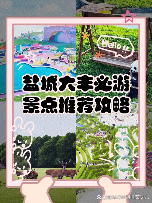 江苏盐城旅游景点排名哪些最值得去？-第2张图片-星月文旅