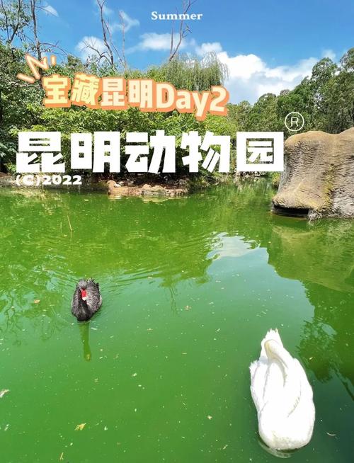 昆明野生动物园两日自驾游-第3张图片-星月文旅