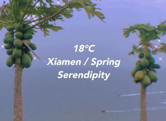 昆明到广西北海自驾游攻略-第1张图片-星月文旅 昆明到广西北海自驾游攻略-第1张图片-星月文旅