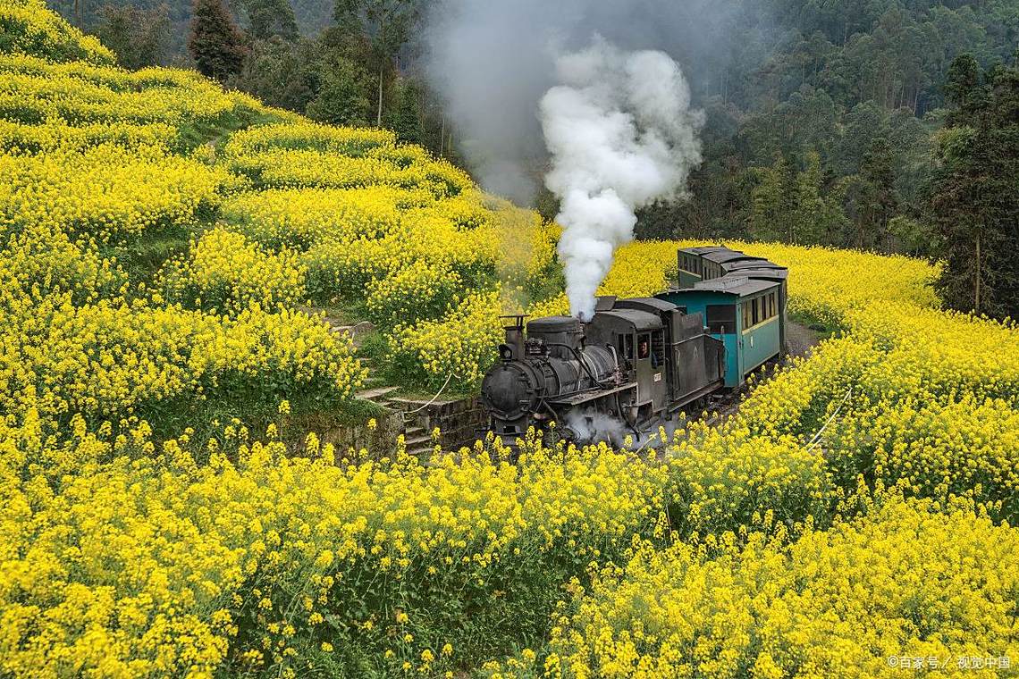 乐山嘉阳小火车自驾游怎么玩最省心?-第2张图片-星月文旅 乐山嘉阳小火车自驾游怎么玩最省心?-第2张图片-星月文旅