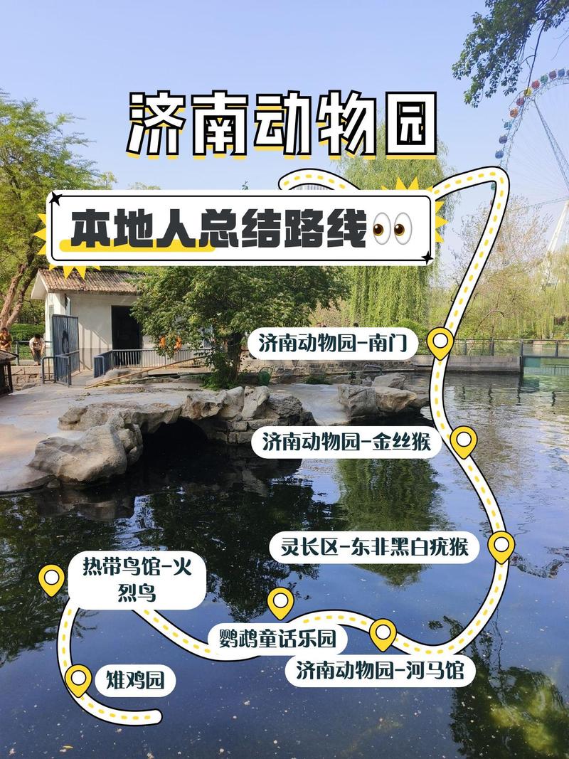 济南野生动物园自驾游攻略,自驾路线怎么选最省时?-第2张图片-星月文旅 济南野生动物园自驾游攻略,自驾路线怎么选最省时?-第2张图片-星月文旅