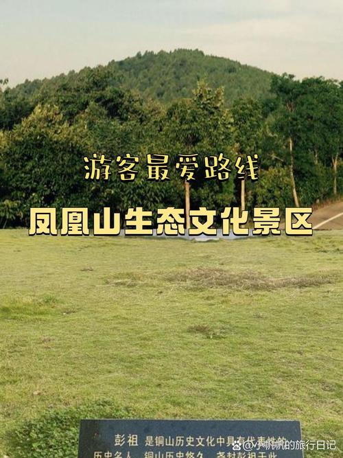 宁波凤凰山景区怎么玩最尽兴?-第2张图片-星月文旅 宁波凤凰山景区怎么玩最尽兴?-第2张图片-星月文旅