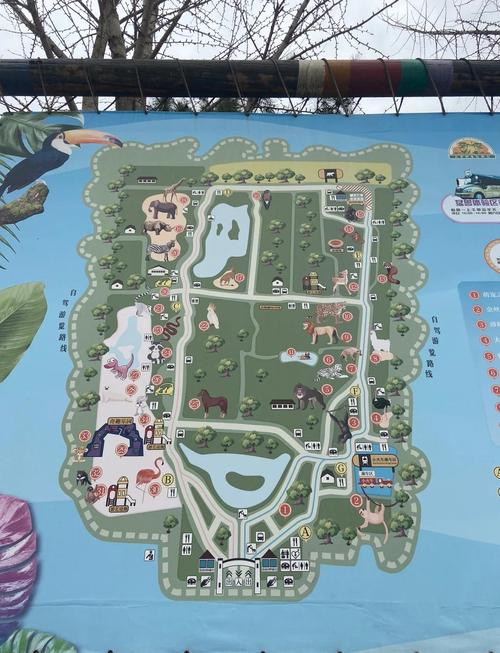 北京野生动物园自驾游怎么玩最省心?-第1张图片-星月文旅 北京野生动物园自驾游怎么玩最省心?-第1张图片-星月文旅