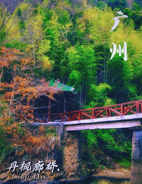 2025从化一日游有哪些必打卡景点?-第3张图片-星月文旅 2025从化一日游有哪些必打卡景点?-第3张图片-星月文旅