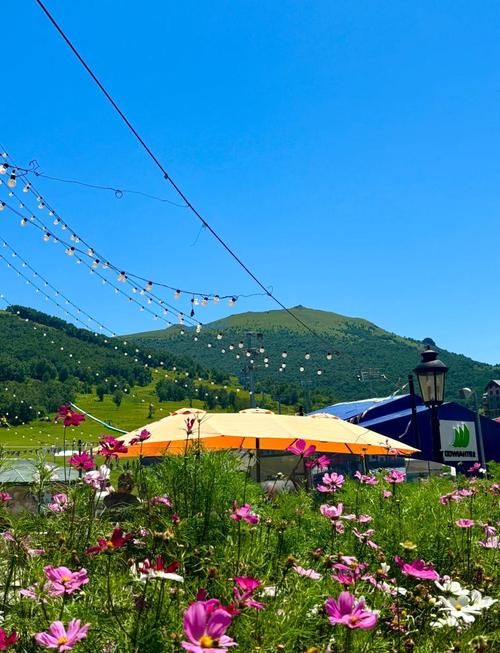 张家口附近有哪些值得去的旅游景点？-第2张图片-星月文旅