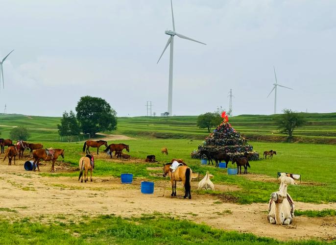 石家庄到张北草原自驾怎么玩？-第2张图片-星月文旅