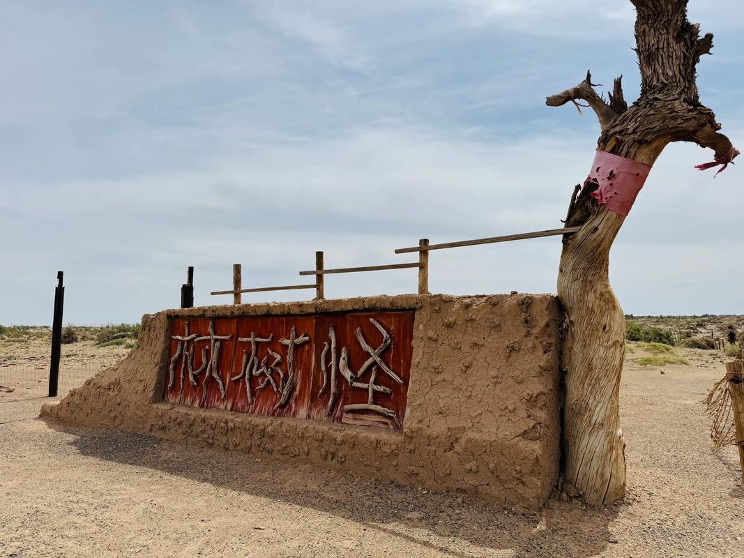 额济纳胡杨林怎么玩？攻略看这里！-第3张图片-星月文旅