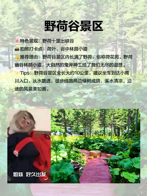 六盘山国家森林公园旅游攻略-第2张图片-星月文旅 六盘山国家森林公园旅游攻略-第2张图片-星月文旅