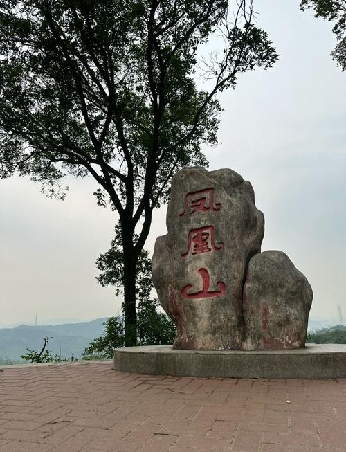 广州凤凰山景区怎么玩最省时省力?-第1张图片-星月文旅 广州凤凰山景区怎么玩最省时省力?-第1张图片-星月文旅