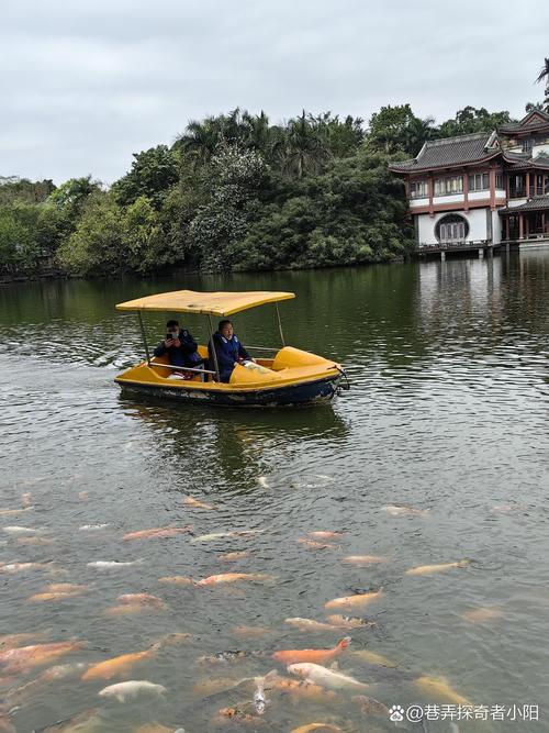 一日游有哪些好玩景点推荐?-第1张图片-星月文旅 一日游有哪些好玩景点推荐?-第1张图片-星月文旅