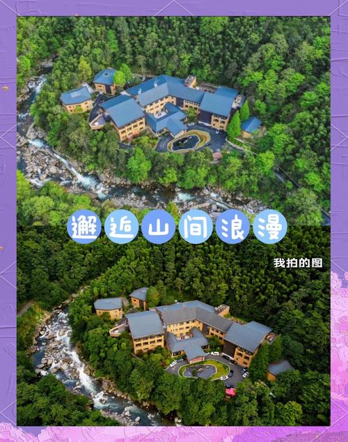 神农谷国家森林公园怎么玩最省心?-第1张图片-星月文旅 神农谷国家森林公园怎么玩最省心?-第1张图片-星月文旅