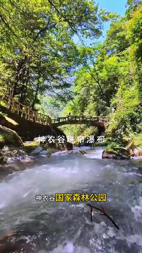 神农谷国家森林公园怎么玩最省心?-第3张图片-星月文旅 神农谷国家森林公园怎么玩最省心?-第3张图片-星月文旅