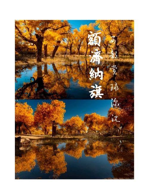 额济纳旗必玩景点有哪些？-第3张图片-星月文旅