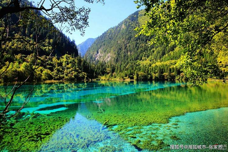 四川旅游必去景点有哪些？-第3张图片-星月文旅