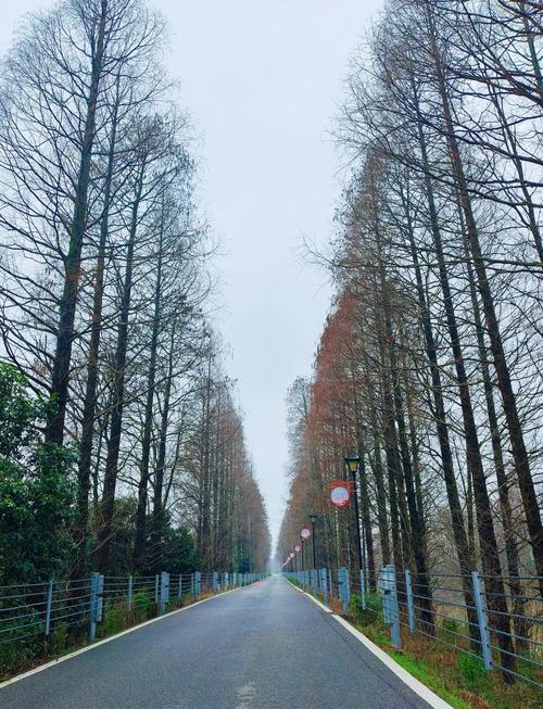 长沙县有哪些必打卡的宝藏景点?-第1张图片-星月文旅 长沙县有哪些必打卡的宝藏景点?-第1张图片-星月文旅